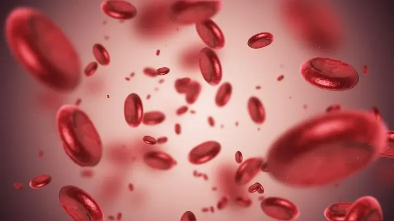 Anemia in Dubai: Common Types and Their Causes